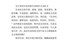 精彩的人生作文800字