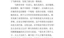 马路见闻作文400字