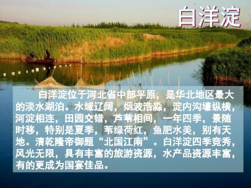 关于蔡普泰里德读书的思考