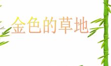金色草地读后感