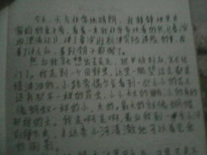 高中第一天的作文