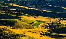 乡村田园风光作文