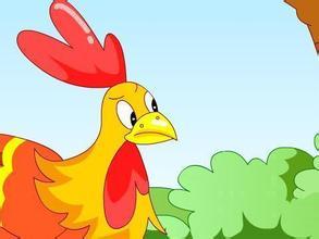 骄傲的大公鸡组成