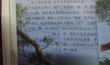 一件事给我的启发