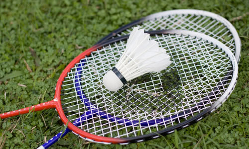 打羽毛球的组成