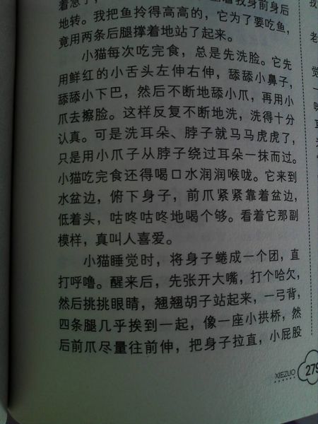 如果我是400字的市长