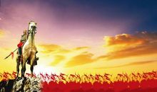 战马读后感500字