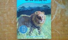 雄狮去流浪的读后感