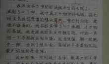 小学生打羽毛球作文