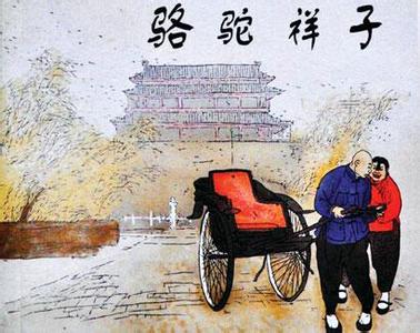 祥子骆驼纲要1000字