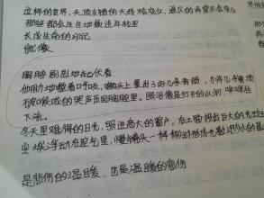 关于触碰主题的构图