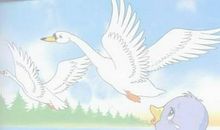 丑小鸭变白天鹅读后感