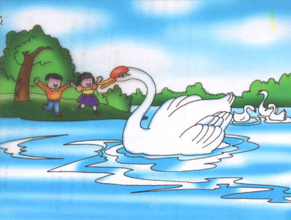 丑小鸭和白天鹅