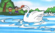 丑小鸭白天鹅读后感