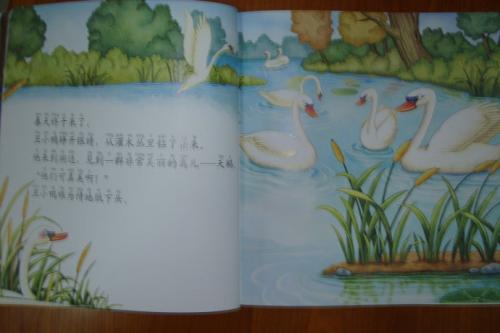 关于丑小鸭的思考