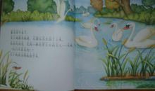 关于丑小鸭的读后感