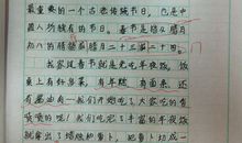 家乡的传统节日作文