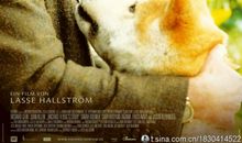 电影八公读后感