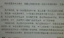 一张老照片作文