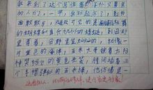 游泰山作文400字