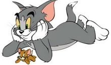 猫和老鼠的读后感