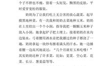 敬佩的一个人400字作文