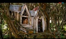 仙境之桥观后感