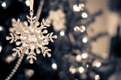 心语：总会有一些人珍惜自己的生活