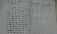 美丽的夏天作文500字