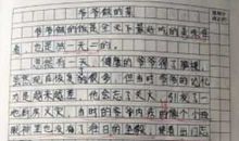我的朋友300字作文