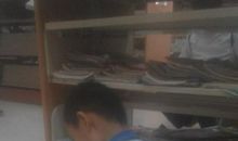 六年级九色鹿读后感