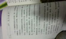 燃烧的男孩读后感