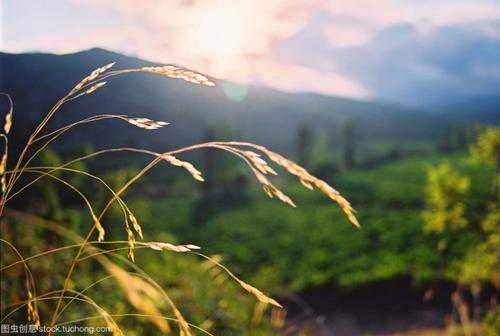 2018年高考满分作文江苏试卷