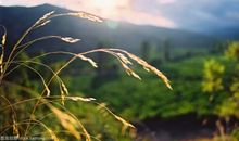 2018年高考满分作文江苏卷