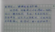 属于我的世界作文