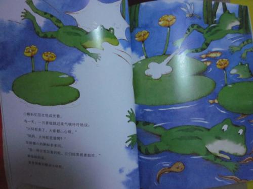 读《蜗牛的森林》后的感想