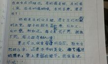 夏天来了作文200字