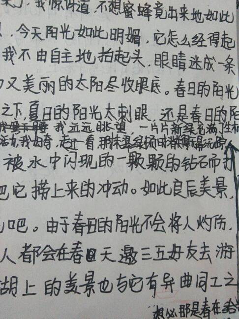 初中一年级的作文