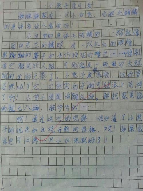 最好的礼物组成