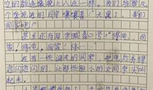 面对暴风雨作文