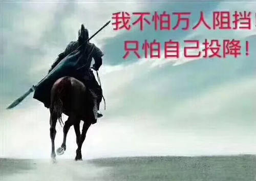 关于马的经典句子