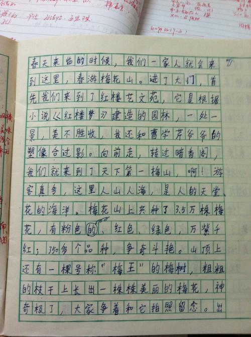 一路陪伴您300字