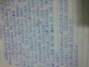 小学二年级作文