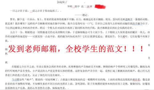 成为自己的英雄作品