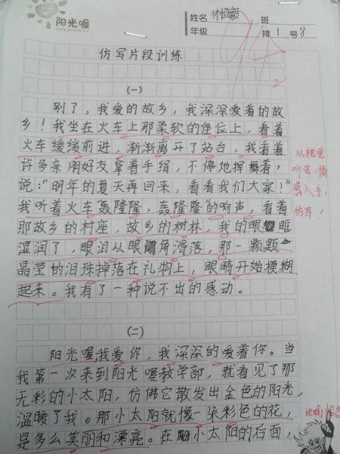 我的家乡小学组成