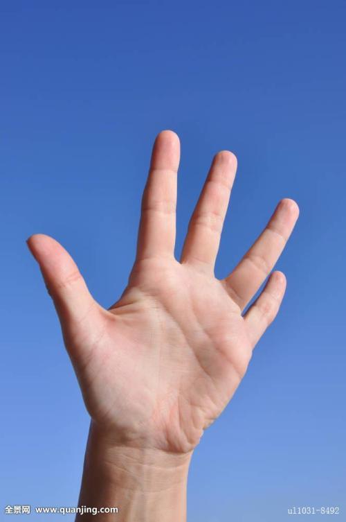 看完手掌的阳光