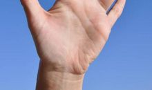 手心里的太阳读后感