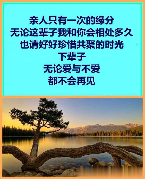 关于家庭的经典句子