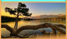 关于亲情的经典句子