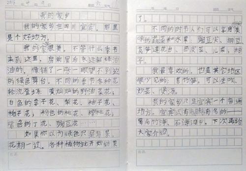 我的家乡高中作文